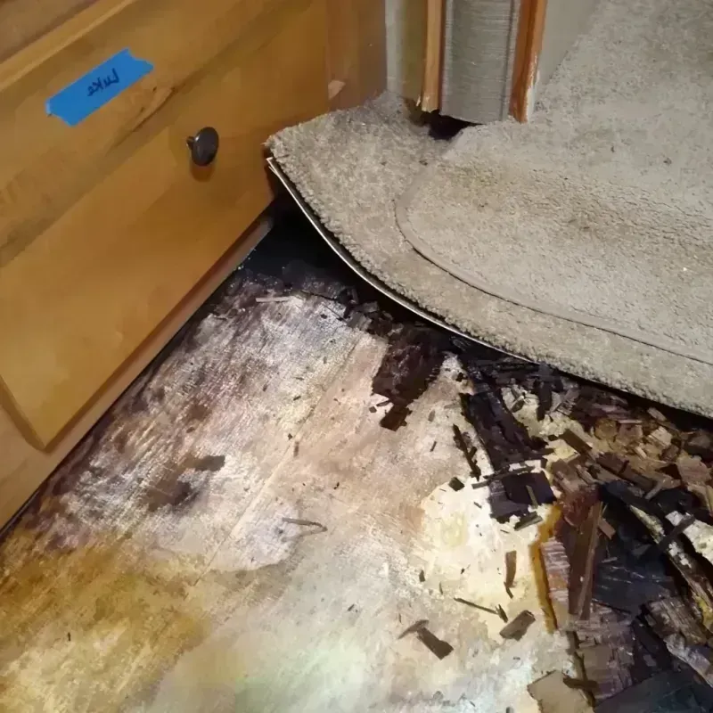 Wood Floor Water Damage in Thomas County, GA